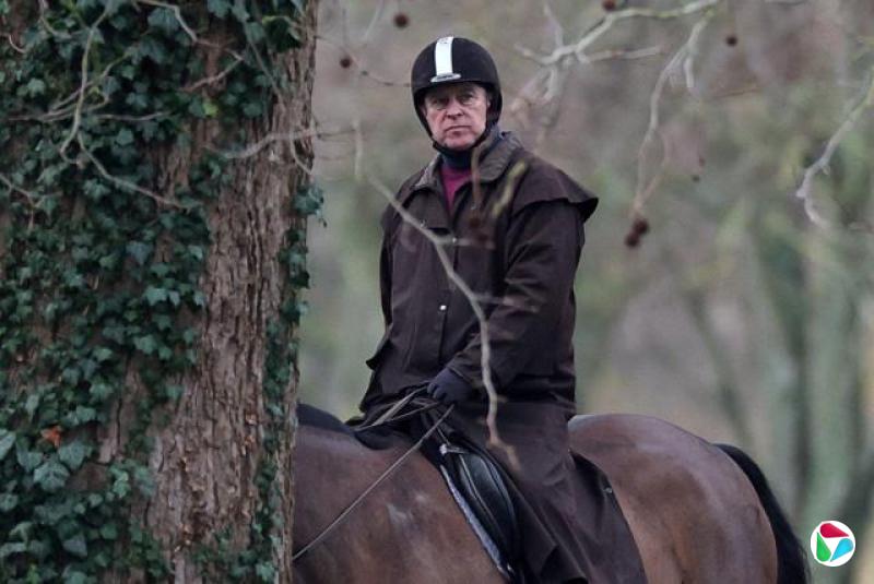 ����³���ɰͶ�-��ɯ������װ��ͷ��ͷ������������֦֮�䣬�������У�Ŀ��Խ����ͷ����Զ����