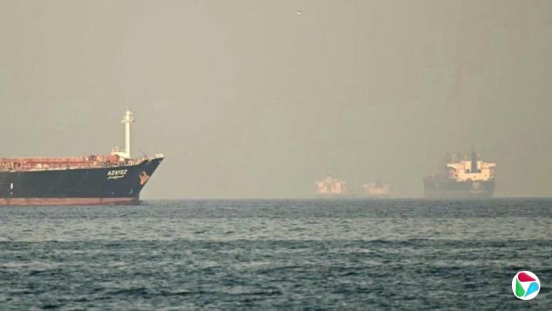 ��ֻͨ������ľ�Ⱥ�Ͽ