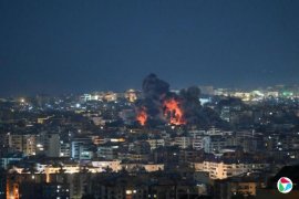 ��ɫ�ж�����۶�ط�������ɢ��