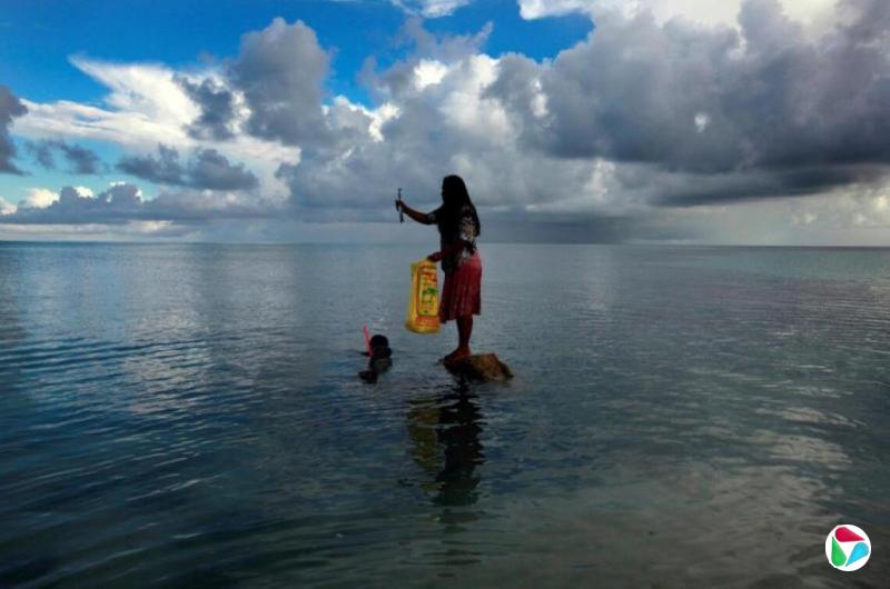 研究:太平洋三分一鱼体内有微塑料 含量因地而异
