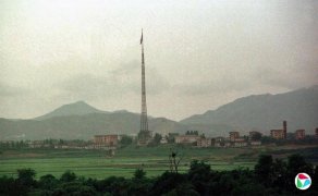 ���ʷ���֧������ѡ�������������