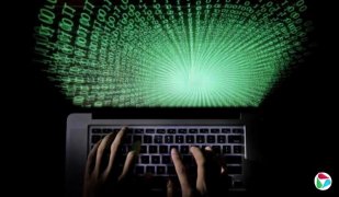 ���������������11����Ԫ �����������鱨�����߹�������Ϣ