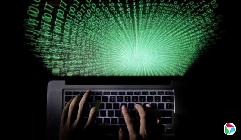 ���������������11����Ԫ �����������鱨�����߹�������Ϣ