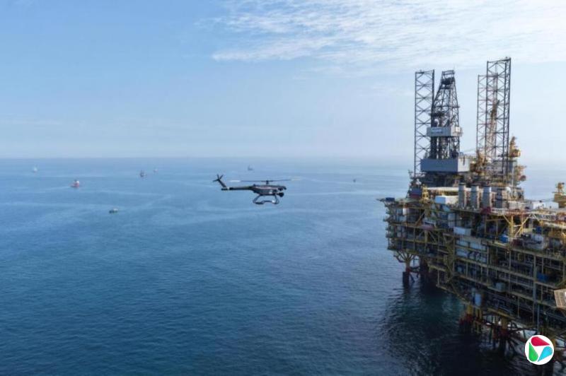 中越将在北部湾海域等地组织海军舰艇联合巡逻训练