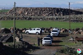 ��Լ�����������ɰ����ߵ���ϵͳ