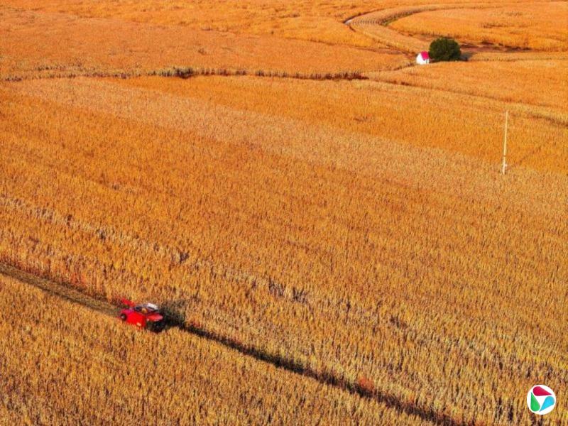 �й�����ڶ������سа����ӳ�30���Ե㹤��