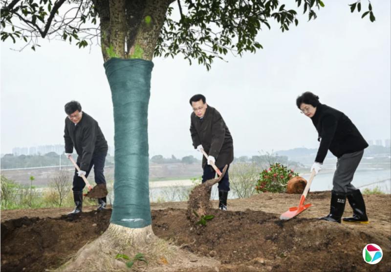 ���⻪δ���������쵼����ֲ���