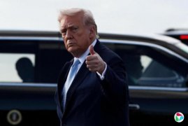 �����տ����𲽽������ʾ����ж�