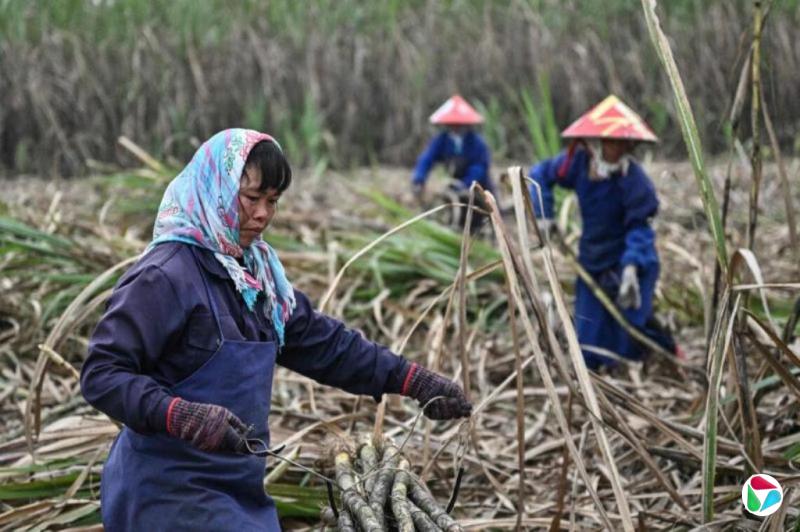 ��ǿҪ��������ʳ���� ��ˮƽ������Ҫũ��Ʒ�ȶ�����