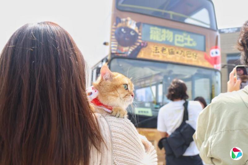 ����ɣ������ﾭ�á������ð��