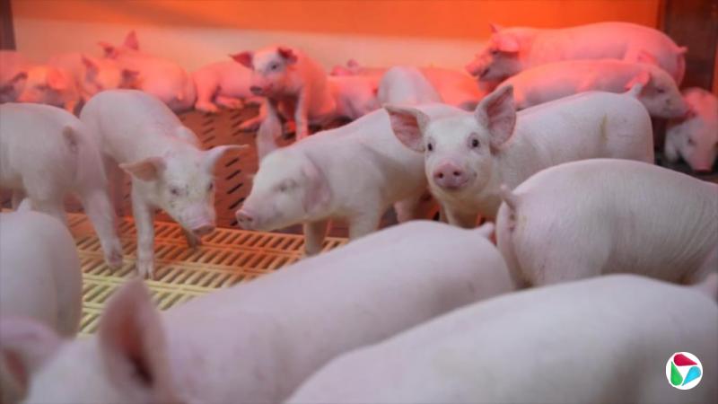 �й����۵���15��͵� ����ս���Ƹ߳ɱ��Ӿ����