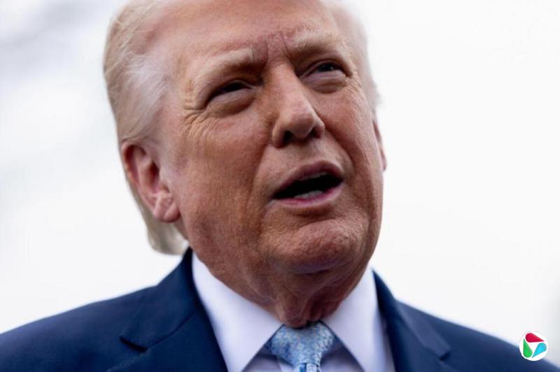 �����ճ������Ի����г�Ч �����ж��Ƴ�����