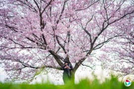 ͨ���Ƹ��ձ�ʳƷ�۸� �����ӣҰ�ʹ�ͳ