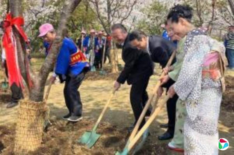 ��������һ�ձ�����ֲ�����ʽװ��