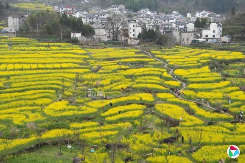 �й���Ա���ڻ��������������˻���