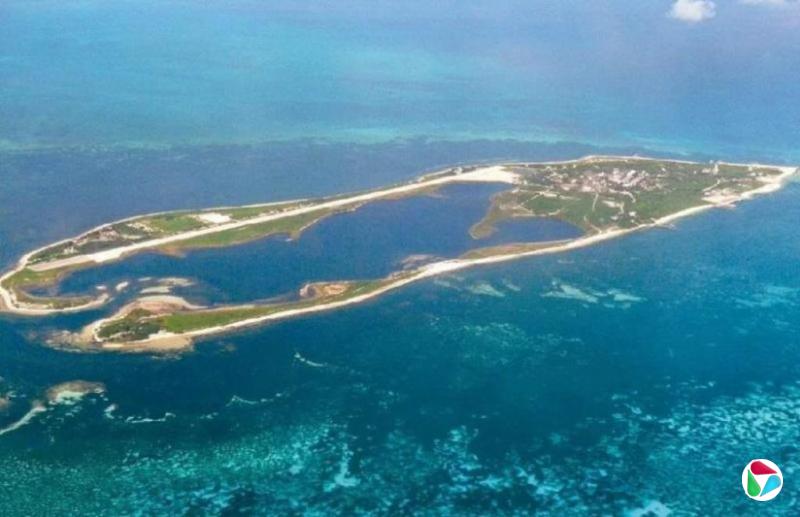 ̨�彫��ǿ��ɳȺ������ Ӧ�Ա��������