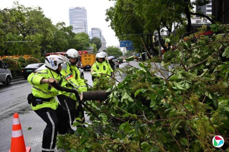 �㶫��ر��� ǿ���������������