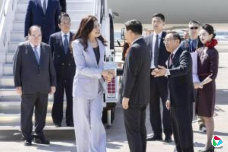 ֣�����������Ͼ�������11���� ������ͷ�׳�Ϻ��