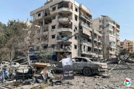 ��ɫ�о�����������������쵼����������