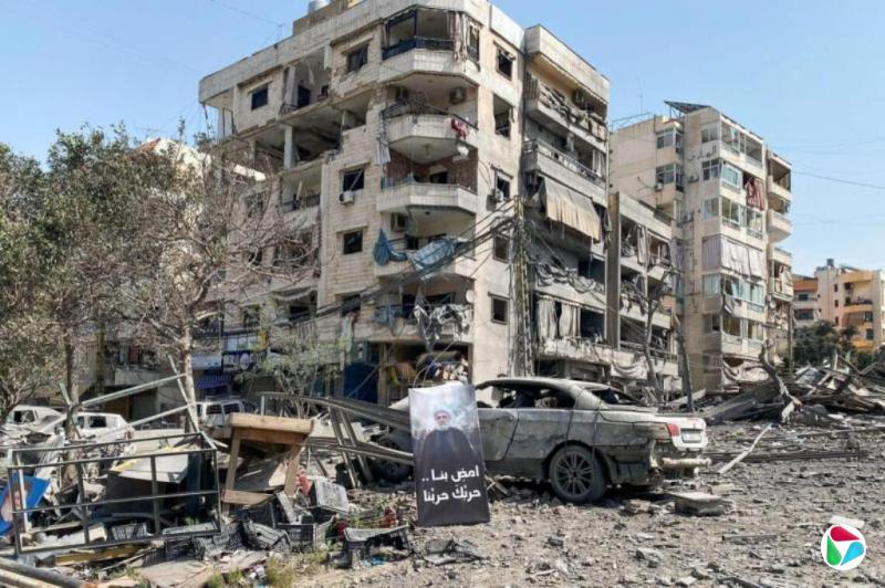 ��ɫ�о�����������������쵼����������