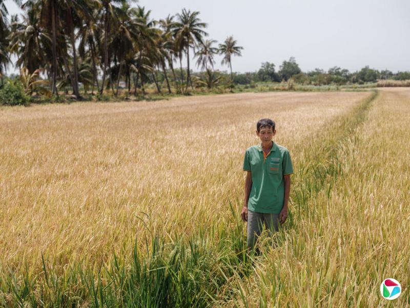 71��ĵ�ũ����̶��ʾ����ϣ�������ܻع鵽�����ȶ���ʱ�ڡ�