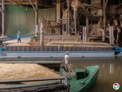 ����ͣ�ڵ�ˮ��������ж�ս�����ȫ����ʳ��Ӧ