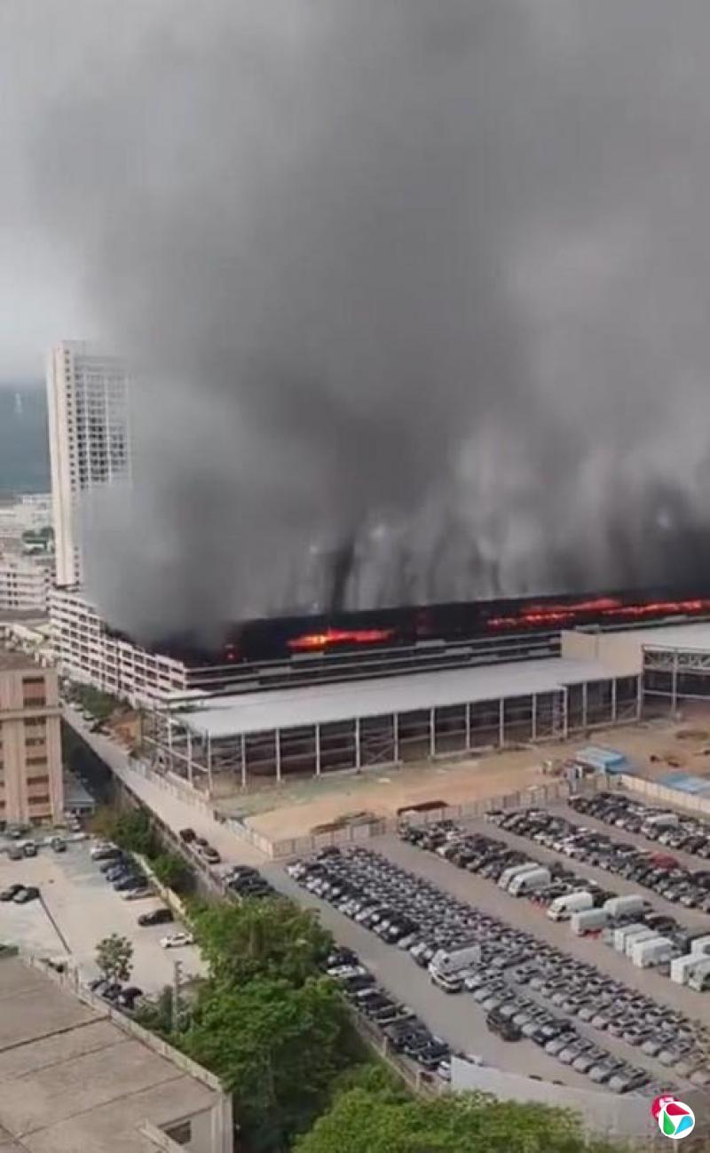 ���ǵϣ�ͣ�����鱨�ϳ������������ ����Ա����