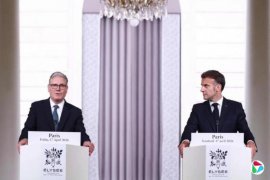 Ӣ����������ά������ľ�Ⱥ�Ͽ������������