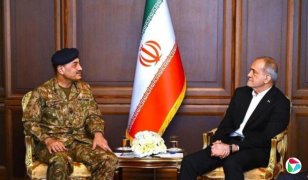 ������ͳ��������̸�м�ͣ��׶γ�����������