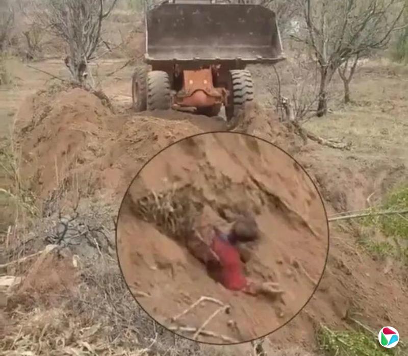 ���������� ɽ������ԭ��֧�鱻�̾�