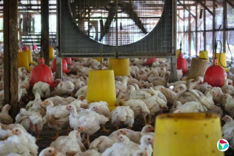 �������ݱ����������ص�ɳ���Ͼ���Ⱦ����