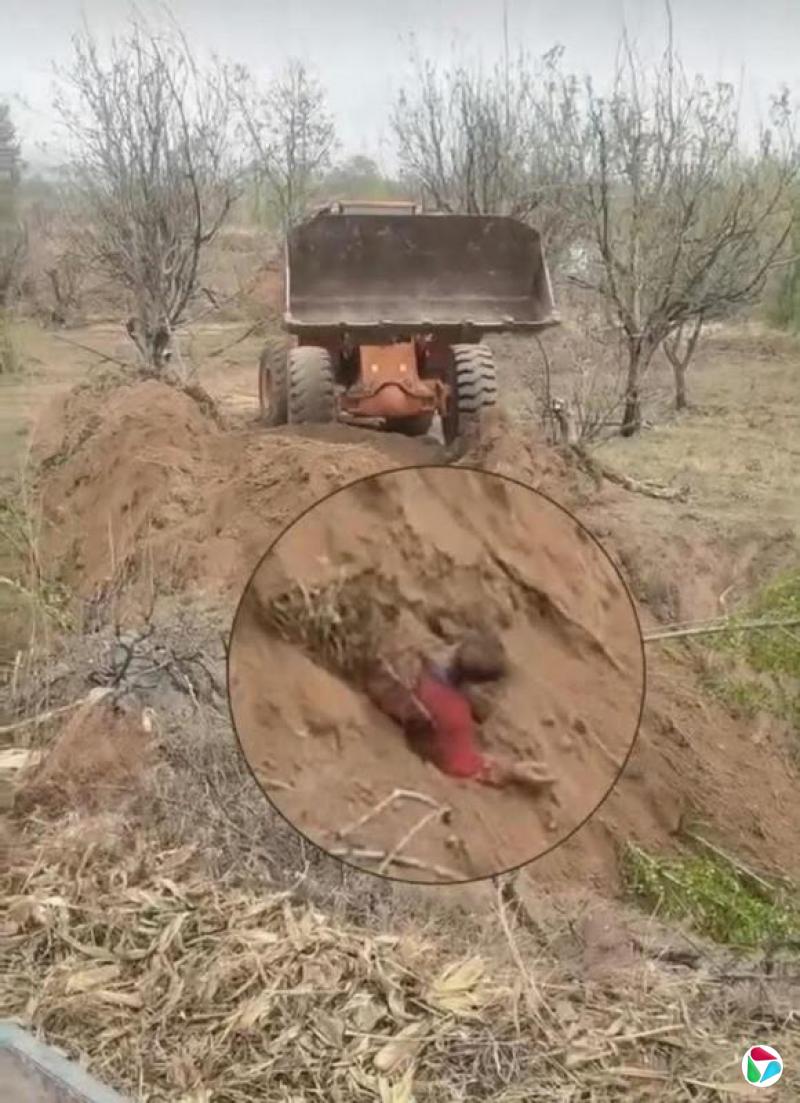 ɽ��ԭ��֧��������� �ٷ�ͨ������״��ƽ��