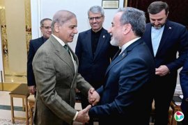 �����ⳤ��ͻ�˹̹������̸ ��������ͣ��ԭ��