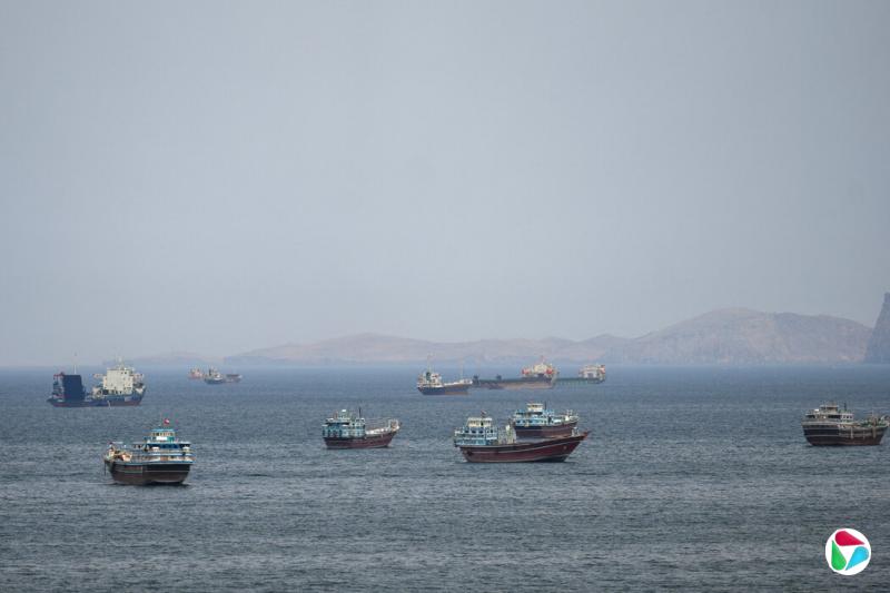 �����ڻ���ľ�Ⱥ�Ͽ�Ĵ�ֻ�������ѶԸú�Ͽ�����ʺ���ʵʩ�������������������������ֻʵʩ�˷�������