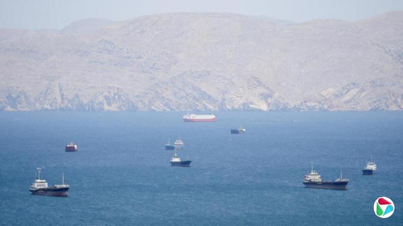 ���������������������ȷ��� ����ľ�Ⱥ�Ͽ��ͨϡ��