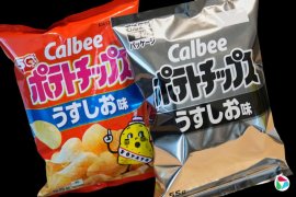 �������롰ʯ����Σ����������ս��������Ӧ�����